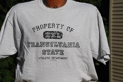 Transylvania State