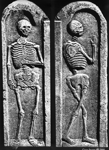 Side By Side Skeleton